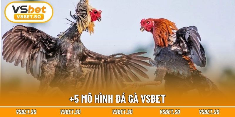 +5 mô hình đá gà Vsbet