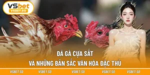 Đá Gà Cựa Sắt Và Những Bản Sắc Văn Hóa Đặc Thù