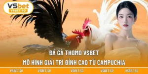 Đá Gà Thomo Vsbet - Mô Hình Giải Trí Đỉnh Cao Từ Campuchia