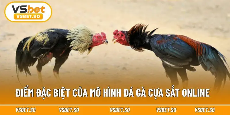 Vsbet đầu tư chỉn chu cho các trận Đá Gà Cựa Sắt