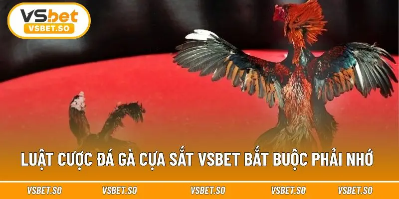 Hiểu về luật chơi để chủ động trong đặt cược 