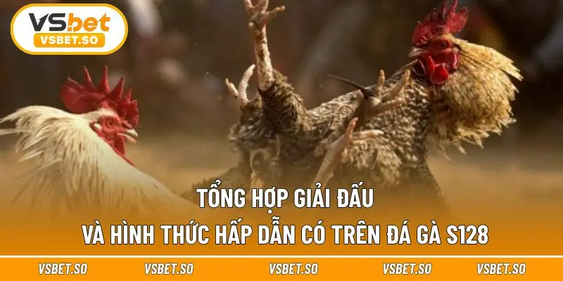 S128 phát trực tiếp tất cả mùa giải hấp dẫn nhất 